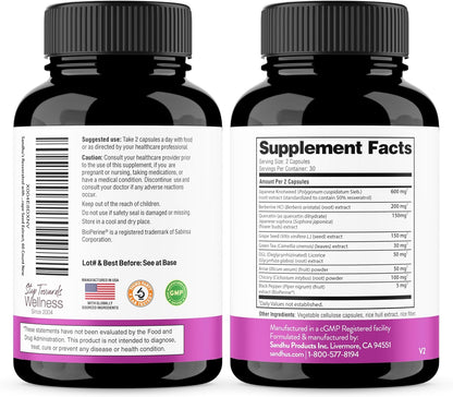 Sandhu's Resveratrol with Berberine for Gut Health | Digestive Supplement for Women & Men | Green Tea, Star Anise, DGL, Grape Seed Extract & Quercetin | Eases Bloating | 60 Capsules (Pack of 1)